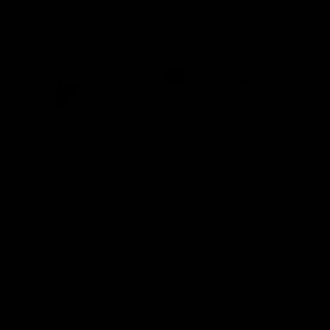 Meet your Posher, Hamez